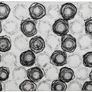 Orbital - 24 x 48