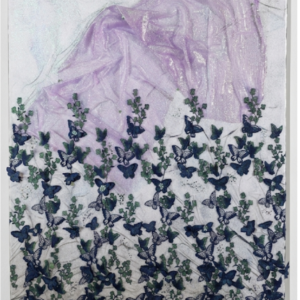 Papillon