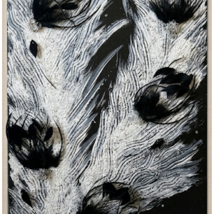 Valkyries Wing - 24 x 36